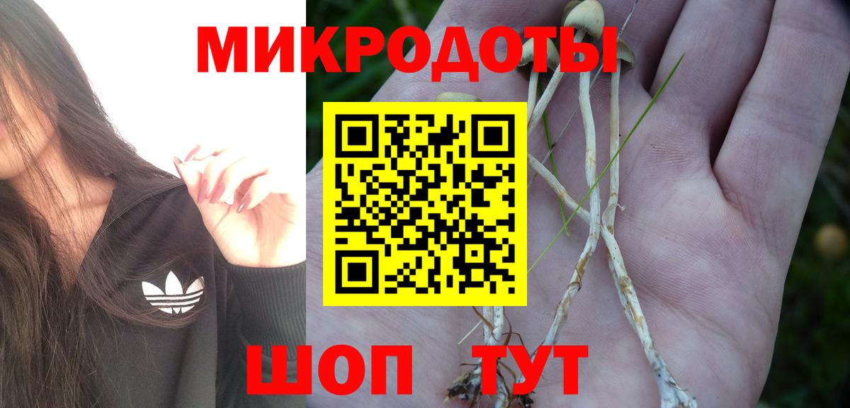 Галлюциногенные грибы Psilocybine cubensis  Псилоцибиновые грибы Psilocybine cubensis  Вход с VPN  Ипатово 